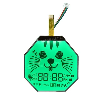 Μονάδα LCD οκτάγωνου τμήματος FSTN